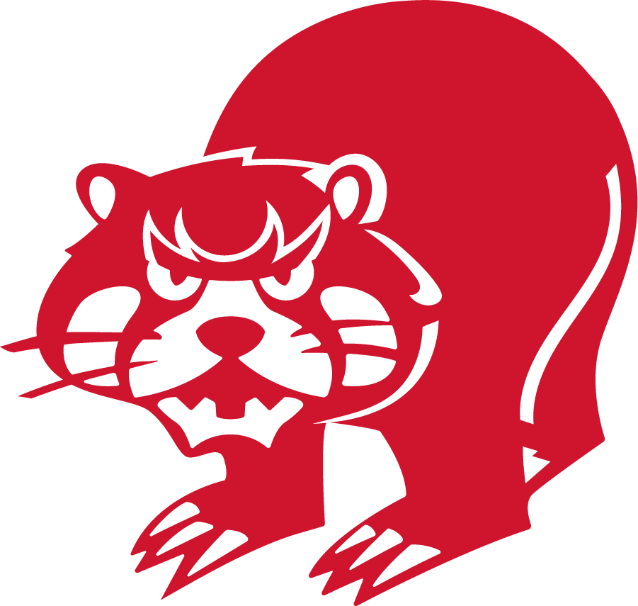 Cincinnati Bearcats 1973-1976 Secondary Logo diy iron on heat transfer